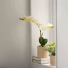 Blomsterpotte Scallop 13,5cm, beige