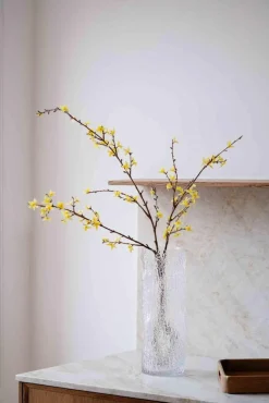 Blomst Forsythia