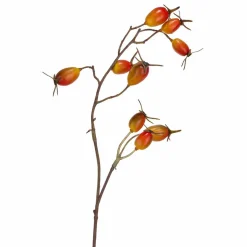 Dekorkvist Høstbær 76cm