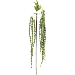 Gren Amarant