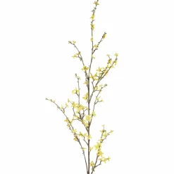 Gren Forsythia 120cm