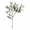 Gren Oliven 80cm