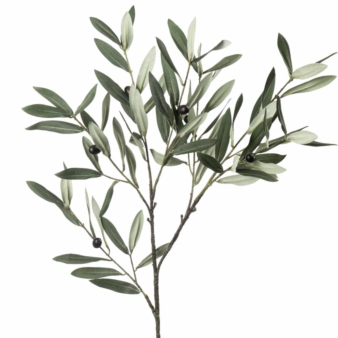 Gren Oliven 80cm