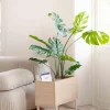 Monstera i potte 109 cm