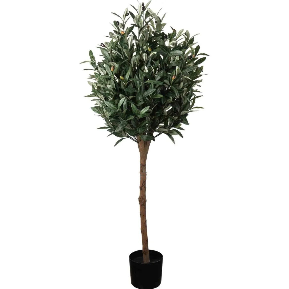 Oliventre i potte H 120 cm
