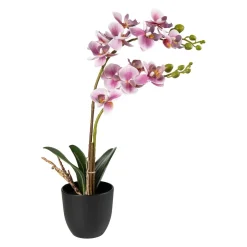 Orkide i potte 40cm