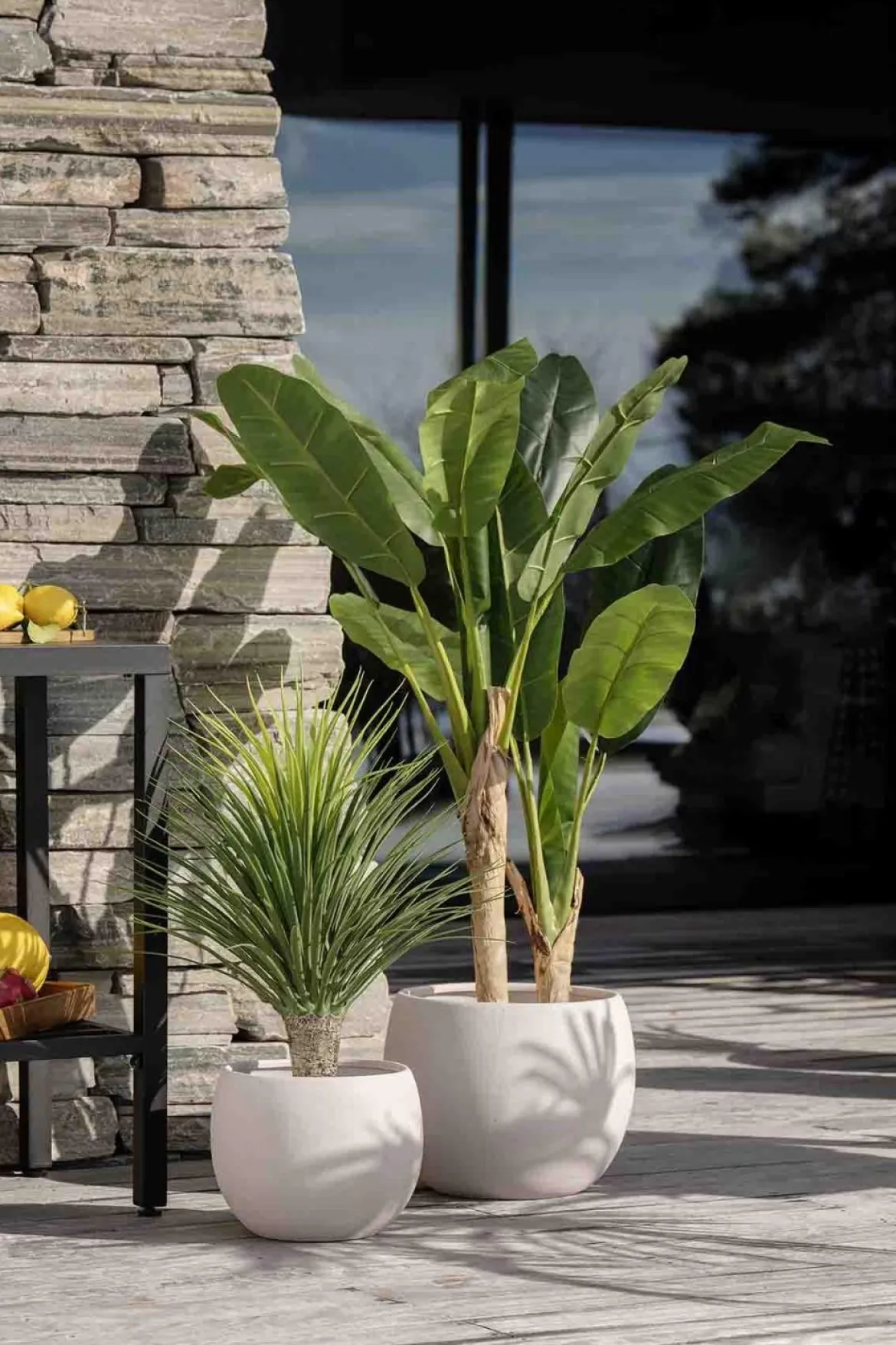 Palme i potte 85 cm