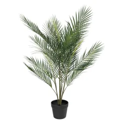 Palme Kwai i potte 97cm
