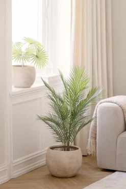 Palme Kwai i potte 97cm