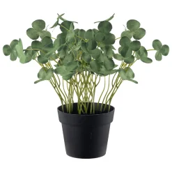 Plante Kløver 22cm