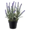 Plante Lavendel H 23 cm