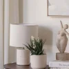 Plante Liljekonvall 23cm