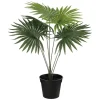 Plante Livistona 42cm
