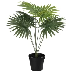 Plante Livistona 42cm