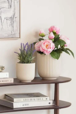 Plante Peon 42cm