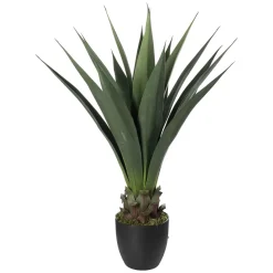 Plante Sisal 90cm