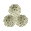 Skålsett Flora
