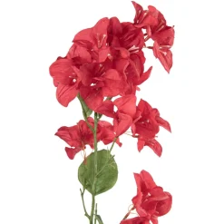 Stilkblomst Bougainvillea 106 cm