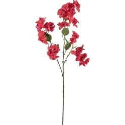 Stilkblomst Bougainvillea 106 cm