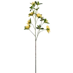 Stilkblomst Clematis 83cm