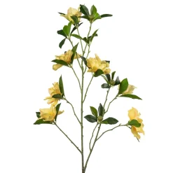 Stilkblomst Clematis 83cm