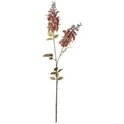 Stilkblomst Erythrina 102cm