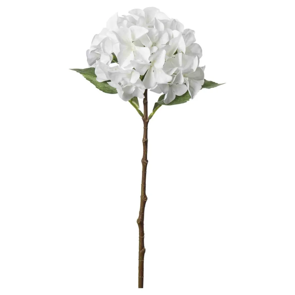 Stilkblomst Hortensia 49 cm hvit