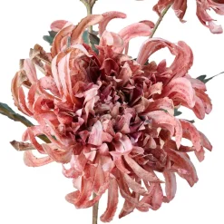 Stilkblomst Krysantemum 80cm rosa