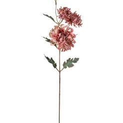 Stilkblomst Krysantemum 80cm rosa