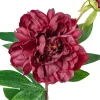 Stilkblomst Peon 70cm burgunder