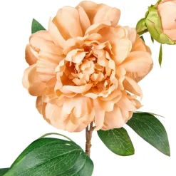 Stilkblomst Peon 70cm oker