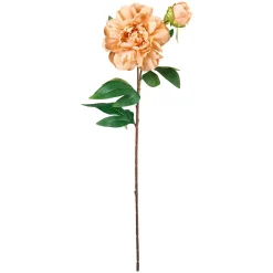 Stilkblomst Peon 70cm oker