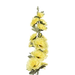 Stilkblomst Stokkrose 91 cm gul