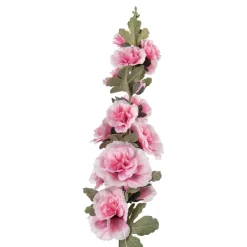 Stilkblomst Stokkrose 91 cm rosa
