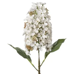 Stilklomst Syrinhortensia 75 cm hvit
